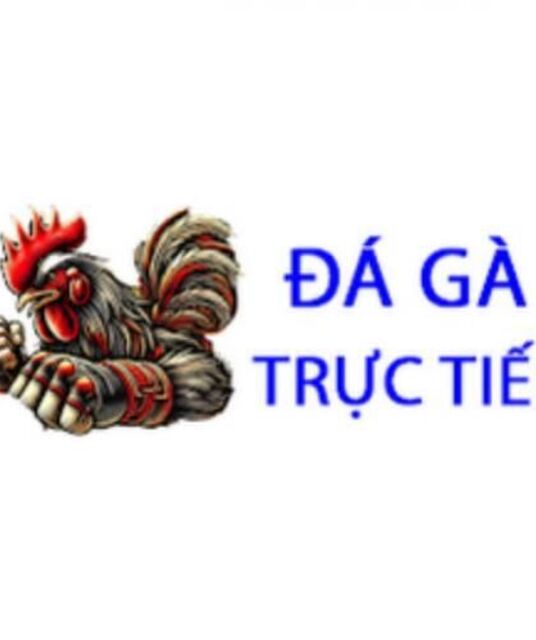 avatar Đá Gà Trực Tiếp