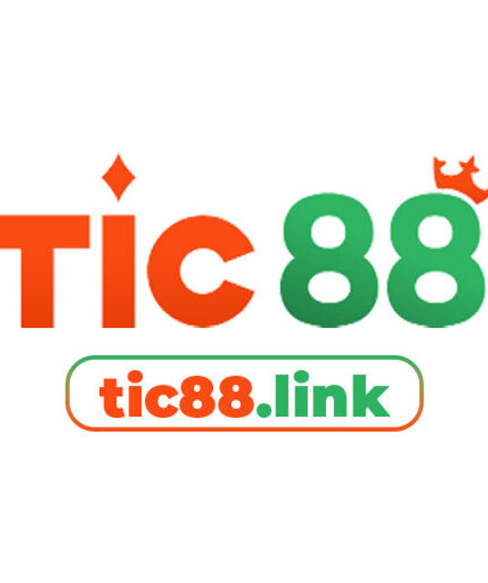 avatar Tic88 link