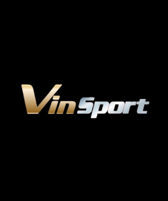 avatar Vinsport ad