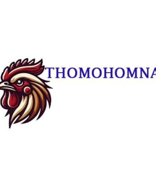 avatar Thomo Hôm Nay