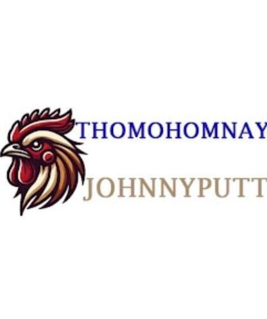 avatar Thomo Hôm Nay